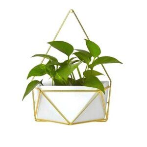 Pair of Succulent/Plant Wall Geometric Hanging White/Gold